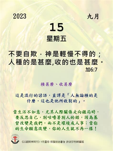 種什麼收什麼|加拉太書 6 現代標點和合本 (CUVMP Traditional)